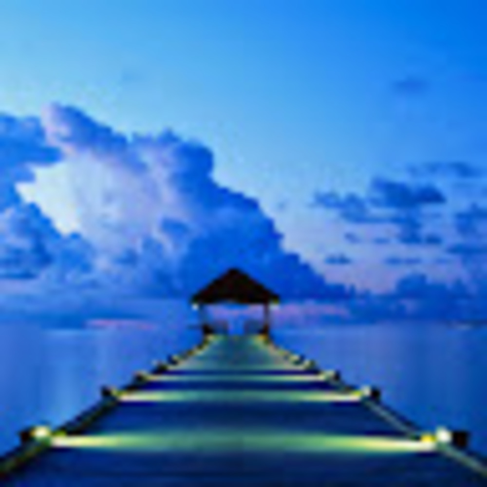 Meet your Posher, Jannette